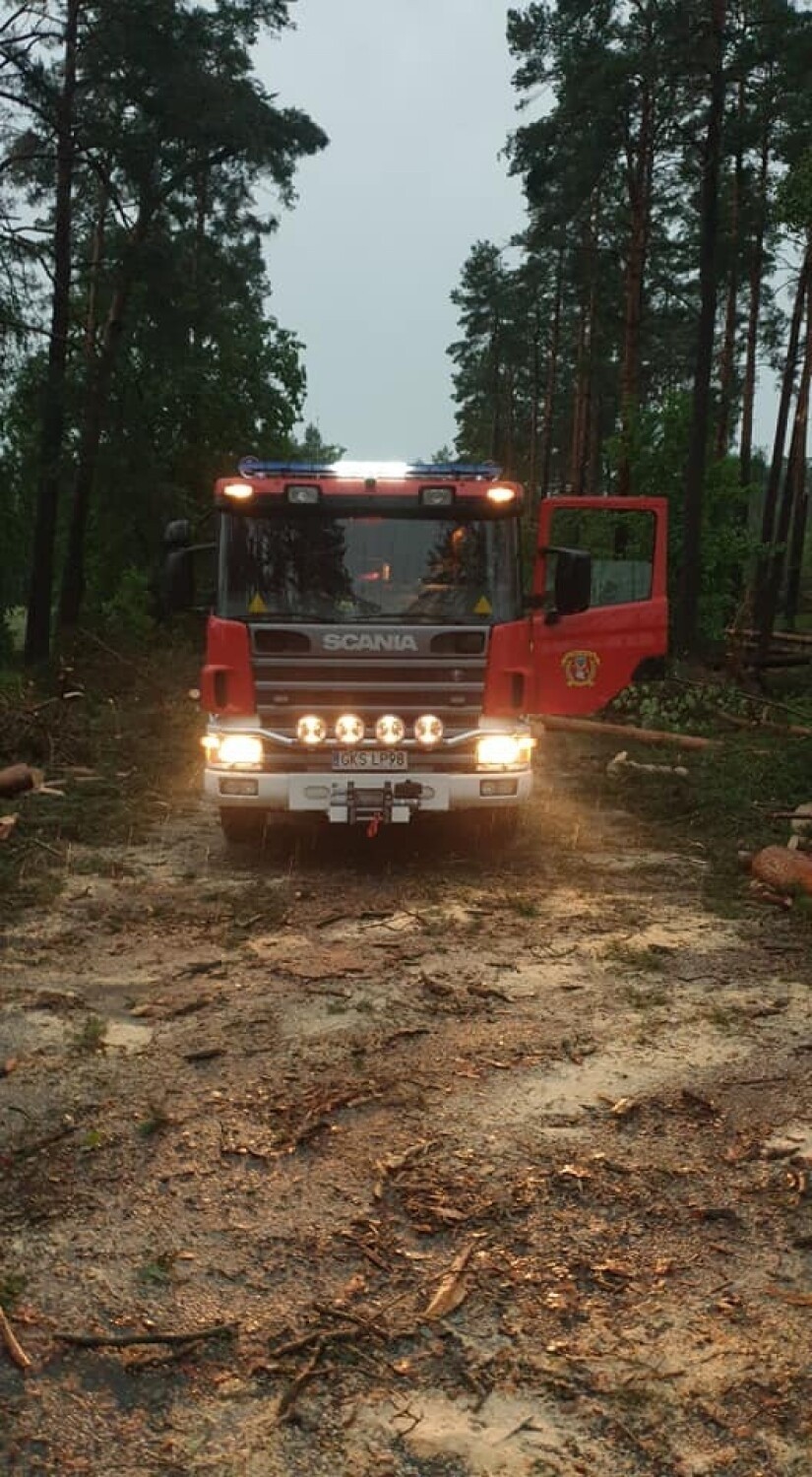 Ewakuacja obozu harcerskiego na Pomorzu! Dzięki szybkim działaniom strażaków udało się uniknąć tragedii