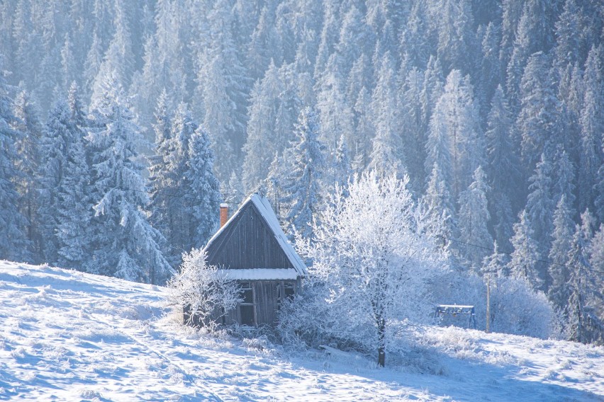 Bajkowa zima w Zakopanem i na Podhalu. Pod Tatrami jest wyjątkowo pięknie. Zobaczcie zdjęcia! 11.12.2021