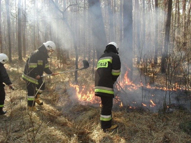Ochotnicy z Rudnika nad Sanem gaszą płonący las w Chałupkach.