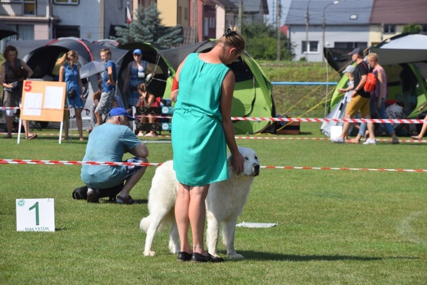 Wystawa Psów Rasowych w Wasilkowie 2017