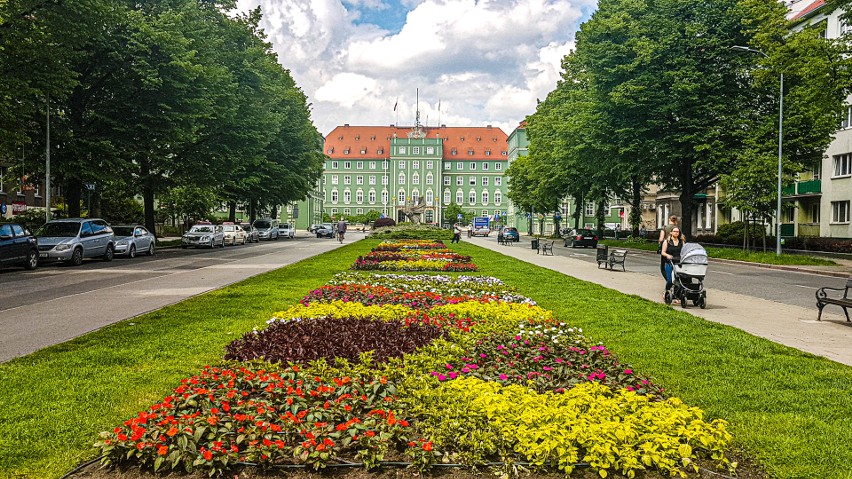 Dziesiątki tysięcy kwiatów na ulicach Szczecina. Jest kolorowo! 