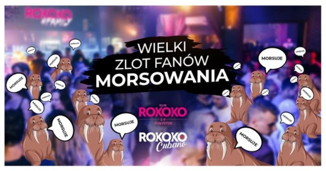 Rokoko 2.0 & Rokoko Cubano zapraszają na Wielki Zlot Fanów Morsowania