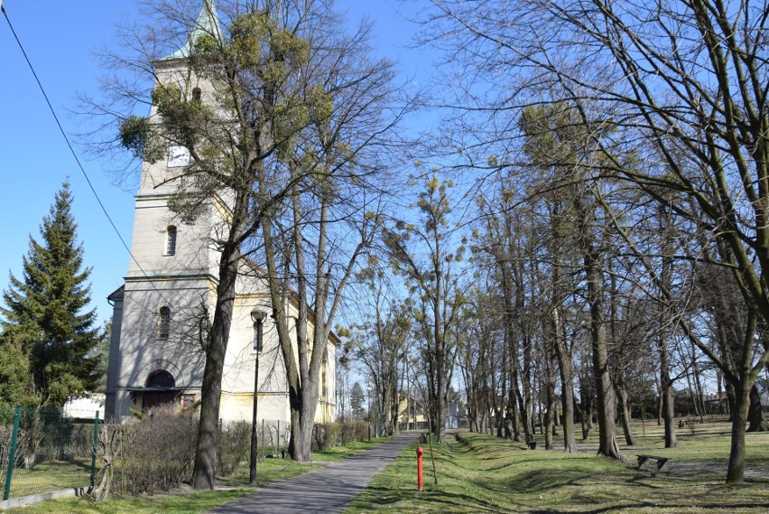 Zabytki w Oleśnie