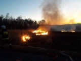 Szokujące zdarzenie w Barwałdzie. Dom mógł pójść z dymem, bo ktoś podpalił trawę