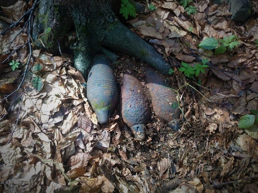 Podkarpacie. Groźne żelastwo znaleziono w lesie - ponad 50 sztuk granatów moździerzowych i nie tylko