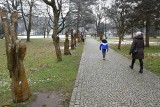 Park Kopczyńskiego w Wiśle. Fajne miejsce na weekendowy - i nie tylko - spacer. Zobacz ZDJĘCIA