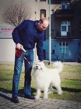 Akcja Nie robię na Kato: Gorzelik i Miuosh popieraja sprzątanie psich kup w Katowicach