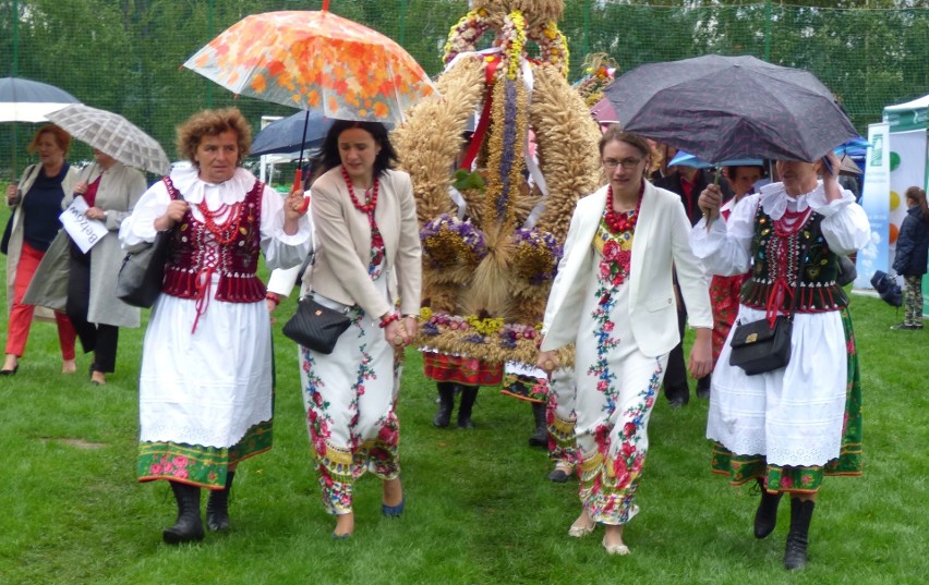 Bełzów jedzie do Włoszczowy! Podziwialiśmy najpiękniejsze wieńce dożynkowe powiatu kazimierskiego [ZDJĘCIA]