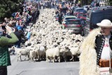 1000 plus na wakacje. Polacy wybiorą wczasy w Polsce. To szansa dla regionu - ocenia Jadwiga Wieczorek ze Śląskiej Izby Turystyki