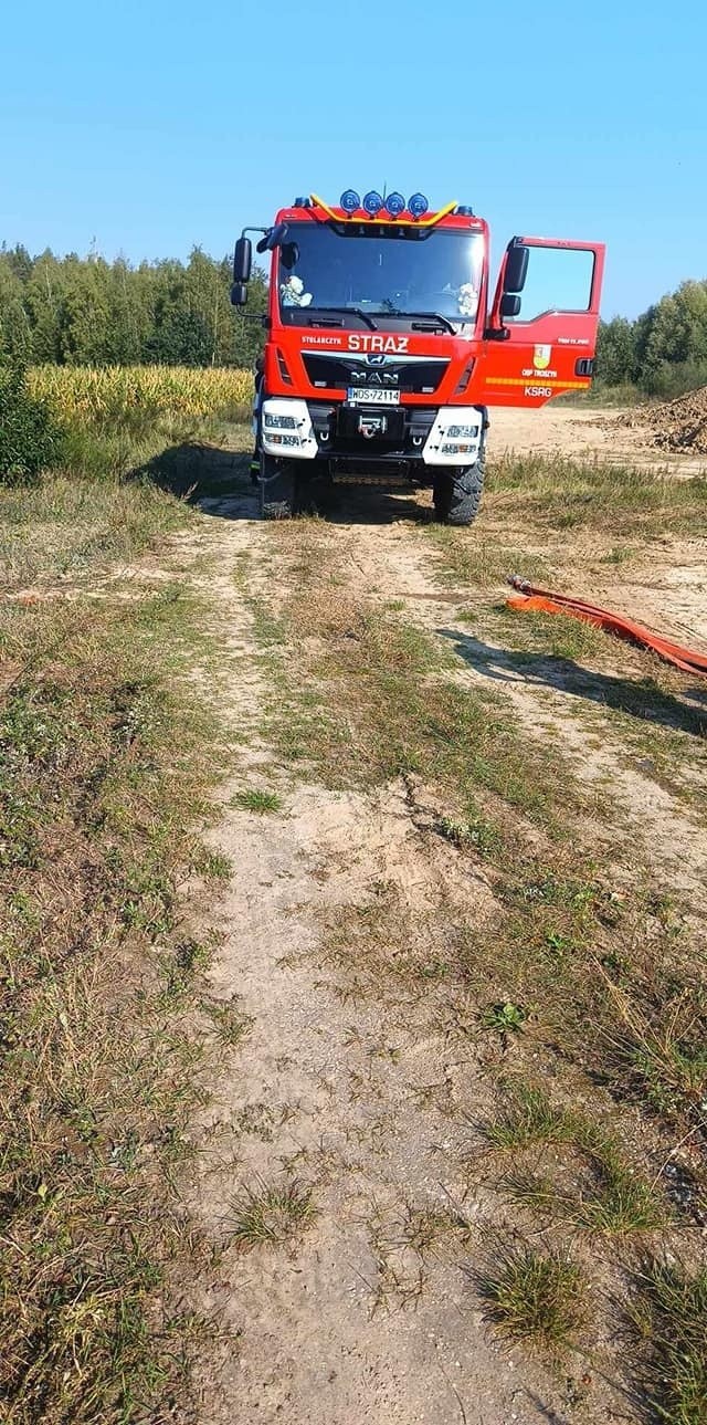 Strażacy uratowali łosia, który utknął w zbiorniku wodnym w gminie Troszyn. 11.09.2023. Zdjęcia