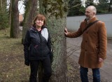 Białystok. Urzędnicy chcą wyrąbać 28 drzew. Żeby poszerzyć ulicę 