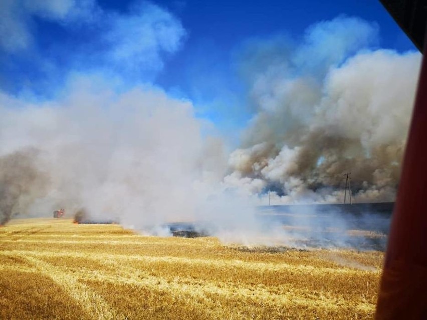 W niedzielę, 30 czerwca wybuchł największy pożar ostatnich...