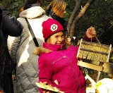 Karmnik dla ptaków przygotowany przez białostockich wolontariuszy zawisnął w warszawskich Łazienkach
