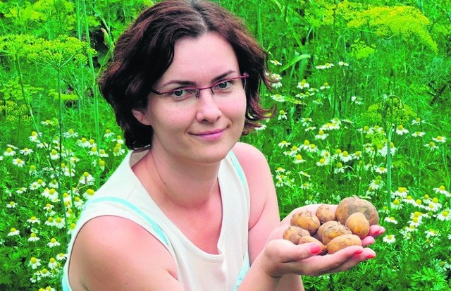 Tysiąc złotych nagrody czeka na autora najlepszego przepisu na potrawę z ziemniaka.     Festiwal Ziemniaka przygotowała Karczma Sądecka.