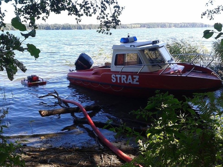 W akcji uczestniczyli strażacy z OSP Wdzydz Tucholskich....