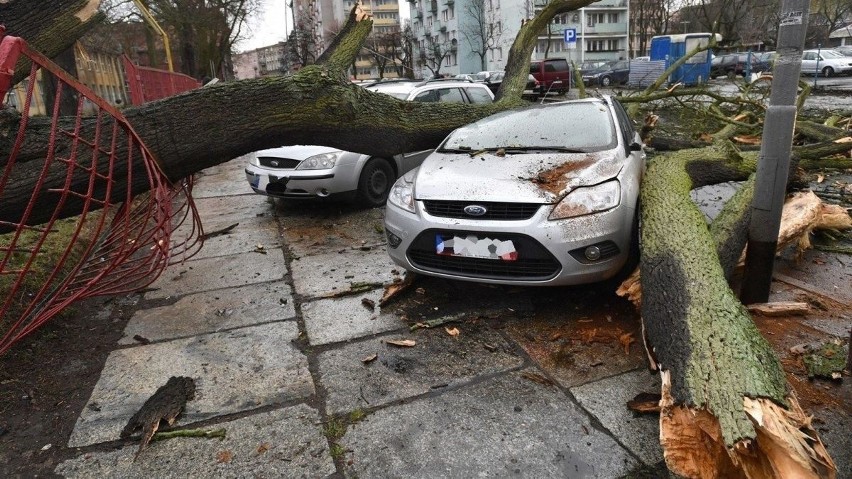 Jednak nie tylko wiatr będzie w najbliższym czasie pogodową...