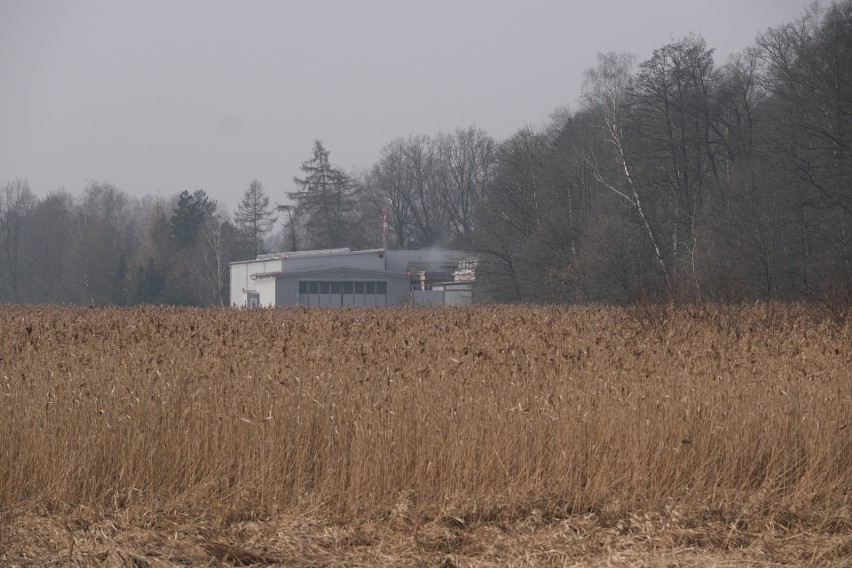 Wyniki sekcji zwłok Karola Kani i pilota helikoptera. Zginęli w katastrofie koło Pszczyny. Te obrażenia przesądziły o ich śmierci 