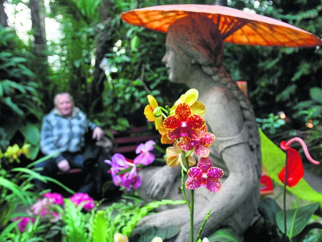 Sosnowieckie Egzotarium to jedno z nielicznych tego typu miejsc w tej części Polski. Nikt z odwiedzających palmiarnię nie ma wątpliwości, że potrzebny jest tutaj kapitalny remont