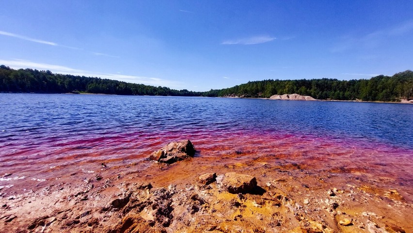 Niektóre jeziora mają rdzawy, wręcz krwisty kolor.