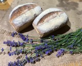 Chleb mieszany pszenno-żytni z prebiotyczną inuliną z Piekarni Elżbiety Nawłoki, czyli pieczywo „z duszą”