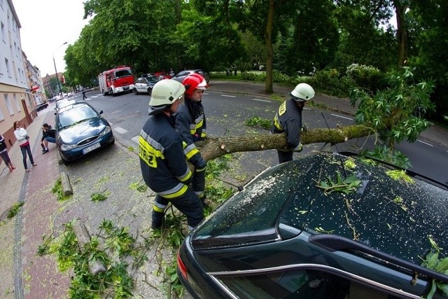 W Kołobrzegu drzewo runęło na samochody[yt]F1VuODwTw20[/yt]