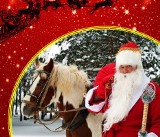Do Witnicy Mikołaj przyjedzie na koniu. Towarzyszyć mu będzie pani mikołajowa i elfy