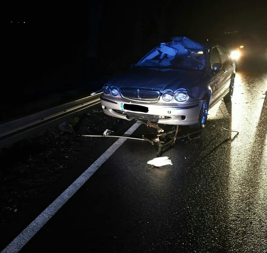 Drzewa spadły na dwa samochody jadące w kierunku Domaszowic....