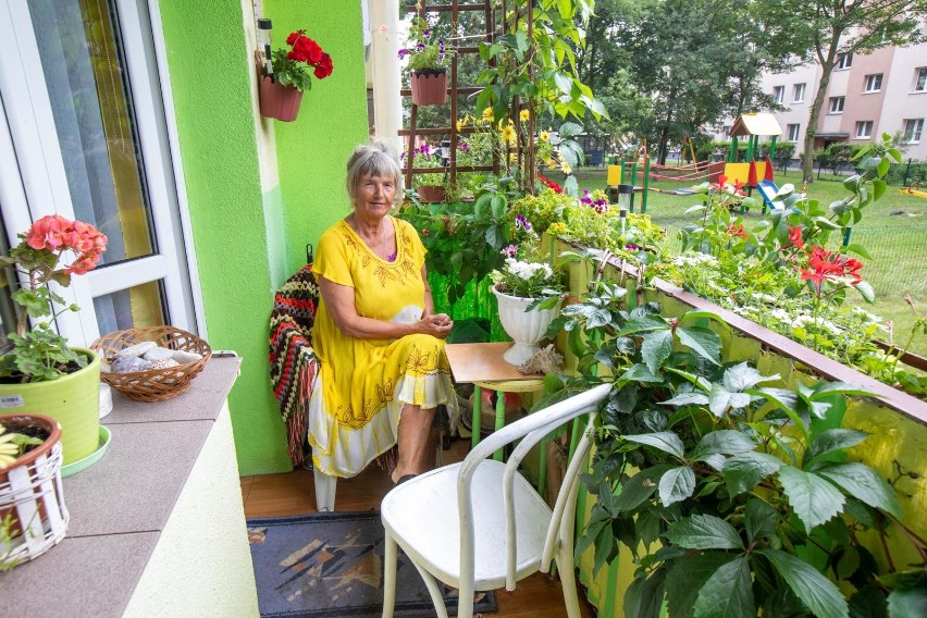 Pani Jadwiga o balkon i ogród na Osiedlu Leśnym dba od...