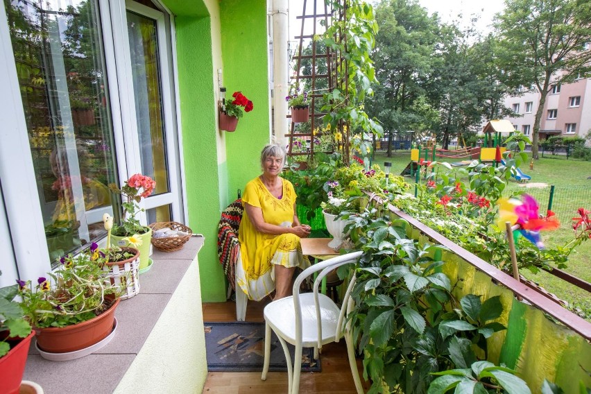 Pani Jadwiga o balkon i ogród na Osiedlu Leśnym dba od...