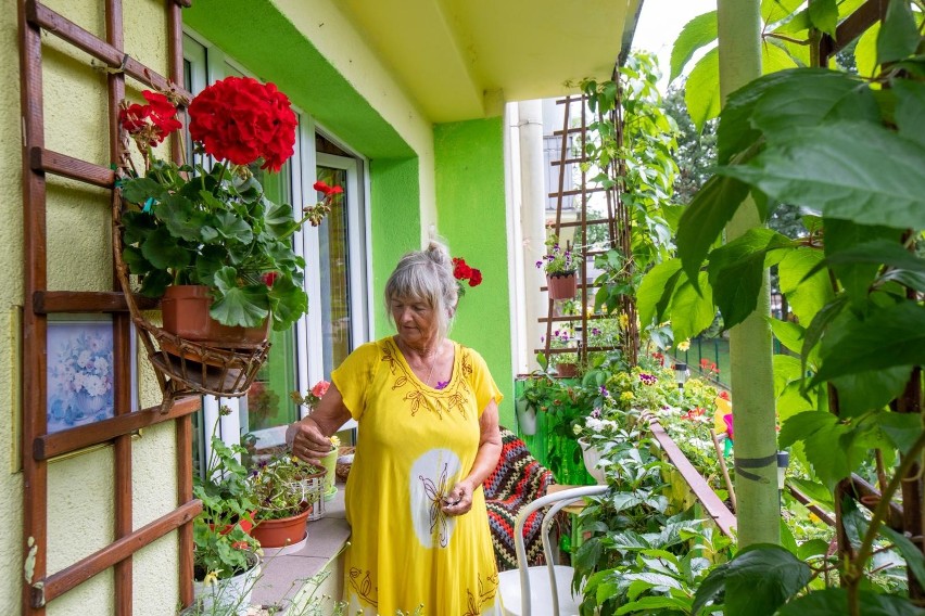 Pani Jadwiga o balkon i ogród na Osiedlu Leśnym dba od...