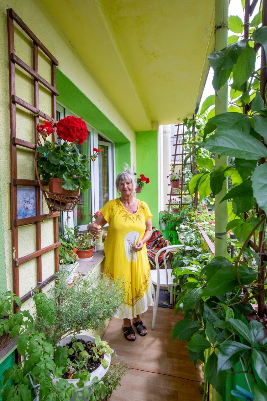 Pani Jadwiga o balkon i ogród na Osiedlu Leśnym dba od...