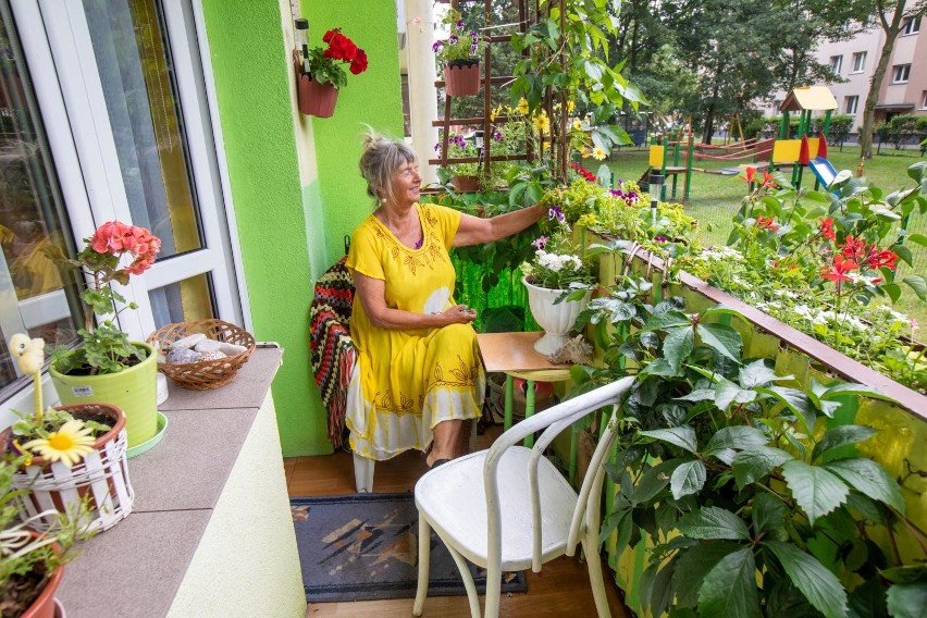 Pani Jadwiga o balkon i ogród na Osiedlu Leśnym dba od...