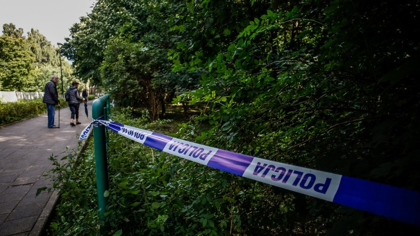 Park Reagana - przeszukanie terenów zielonych wzdłuż drogi,...