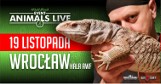 Animals Live ponownie odbędzie się w hali AWF Wrocław Al.Paderewskiego 35 w godz od 10.00 do 16.00