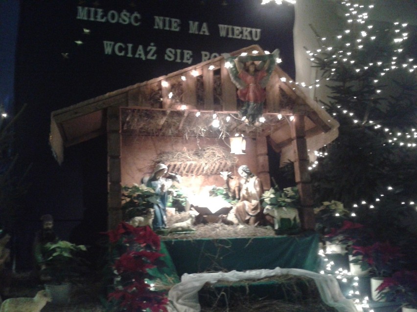 Szopka bożonarodzeniowa w kościele św. Jacka w Gliwicach-Sośnicy [ZDJĘCIA]