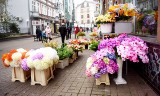 Gorzów. Tak wygląda miasto w czasie jesieni. Jest klimat 