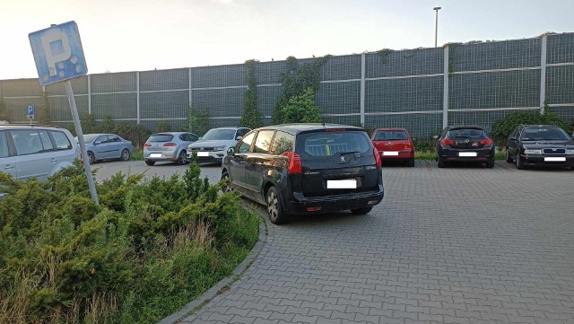 Więcej zdjęć "mistrzów parkowania" z Torunia na kolejnych stronach. >>>>>