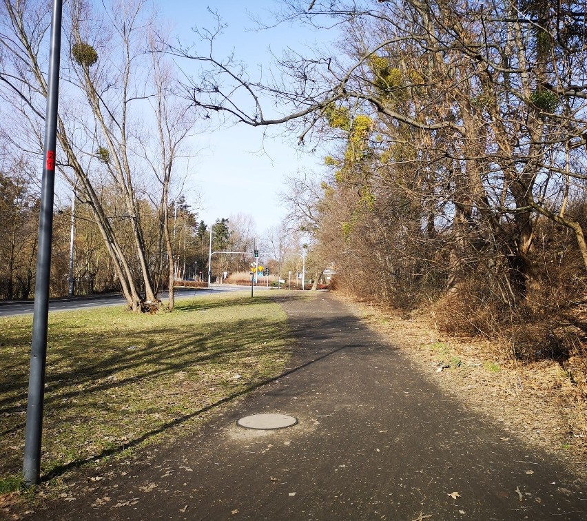 Budowa ścieżek rowerowych wzdłuż Racławickiej i Skarbowców...