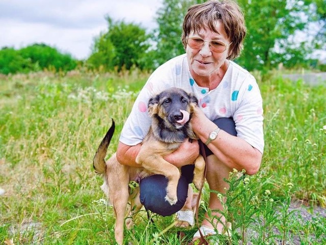 "Łapka&#8221; ktoś przywiązał do drzewa. Na szczęście kundelek sam się uwolnił. Teraz czeka na adopcję w kędzierzyńskim schronisku.