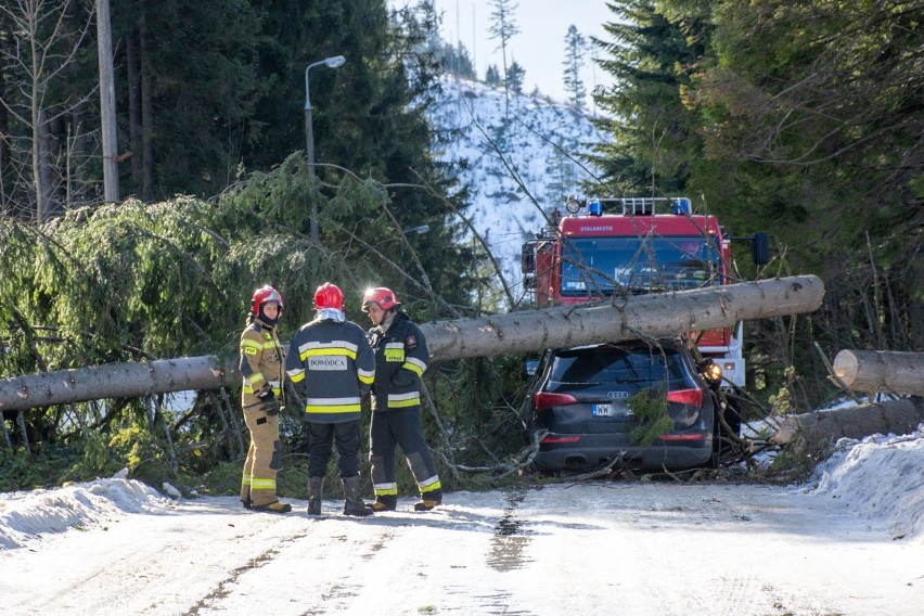 Kościelisko. To mogła być kolejna tragedia. Drzewo runęło na auto [ZDJĘCIA]