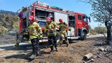 Strażacy z Dolnego Śląska walczą z pożarami w Grecji. Działania trwają całą dobę [ZOBACZ ZDJĘCIA]