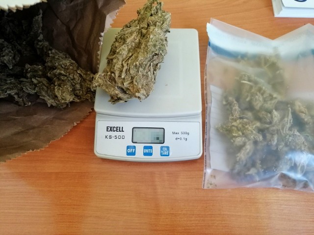 Już wstępne badanie narkotestem wykazało, że znaleziony susz roślinny to marihuana