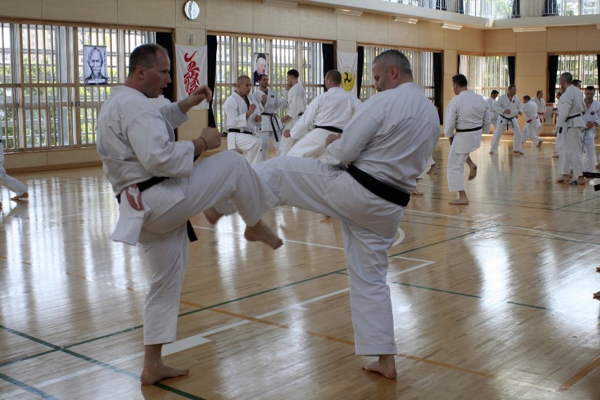 Jaworzniccy karatecy na szkoleniu w Japonii [ZDJĘCIA]