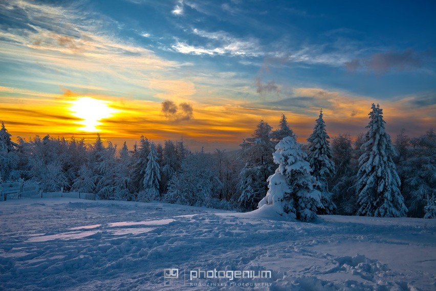 Niesamowite zdjęcia zimowej Jaworzyny Krynickiej 