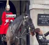 Już wtorek...? Kiedy weekend? Oto najlepsze memy o drugim dniu tygodnia. Zobacz i się uśmiechnij 