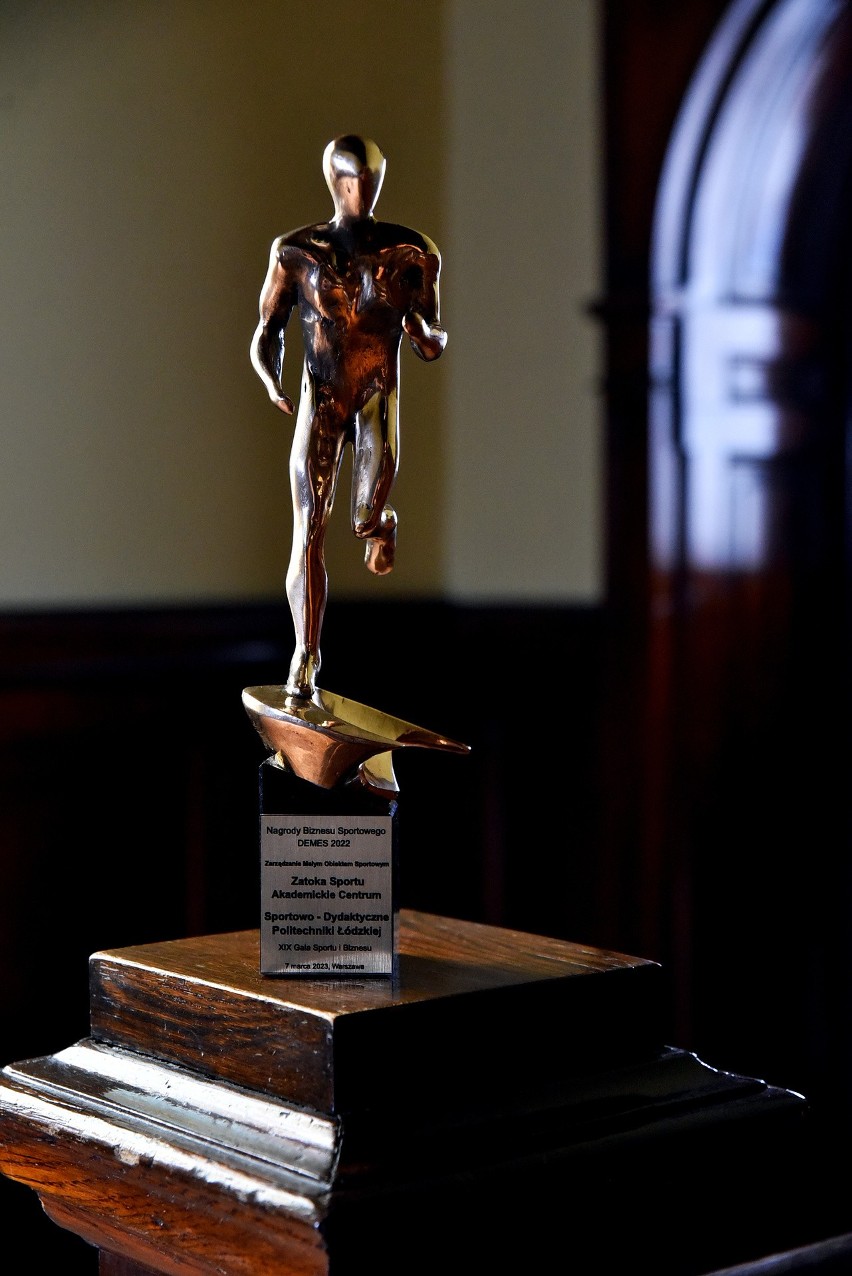 Nagroda DEMES przyznana Zatoce Sportu jest wyrazem uznania...