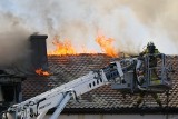 Czarna seria w Polsce. Pożary to dzieło tragicznego przypadku czy podpaleń?