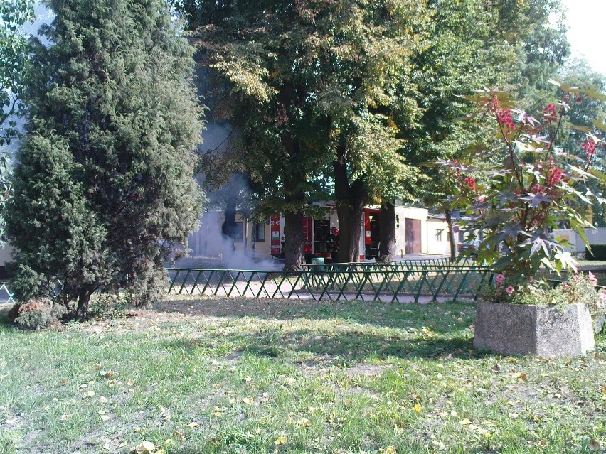 Pożar liści przy Politechnice Lubelskiej (ZDJĘCIA)