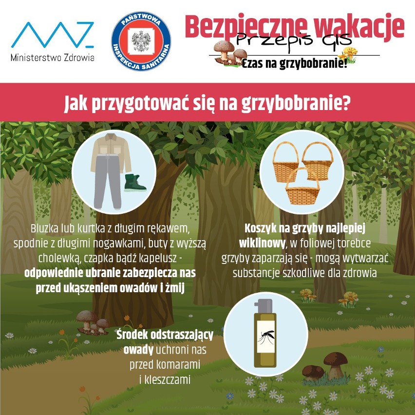 Te osoby nie powinny jeść grzybów. GIS ostrzega