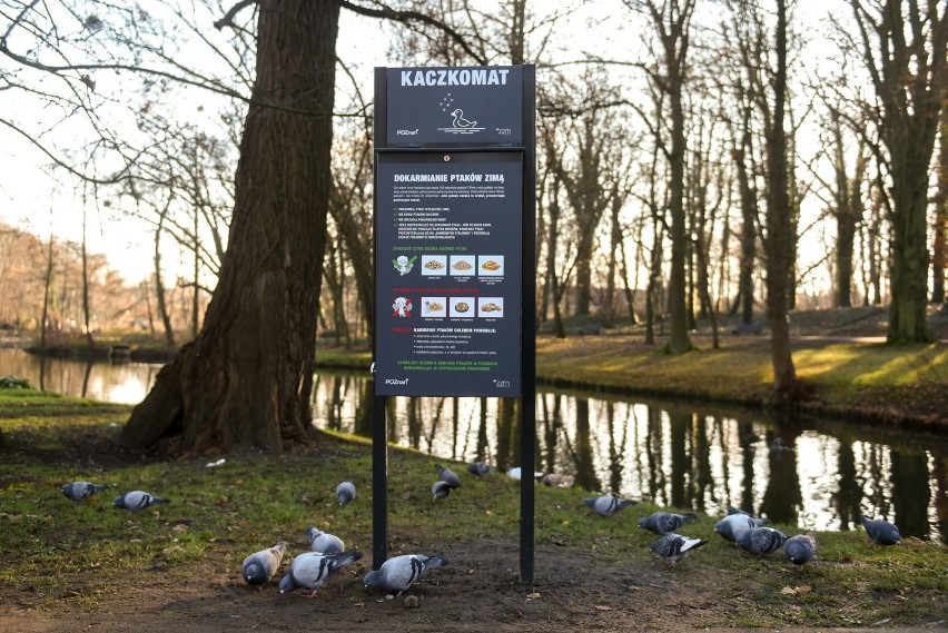 Pierwszy kaczkomat w poznańskim parku